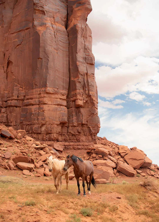 Monument Valley