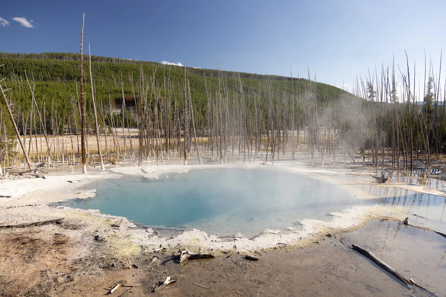 Les merveilles et mystères de Yellowstone