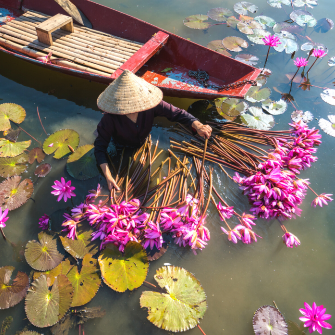 Odysway & Delsey Paris: 5 voyages en immersion uniques à vivre en Asie